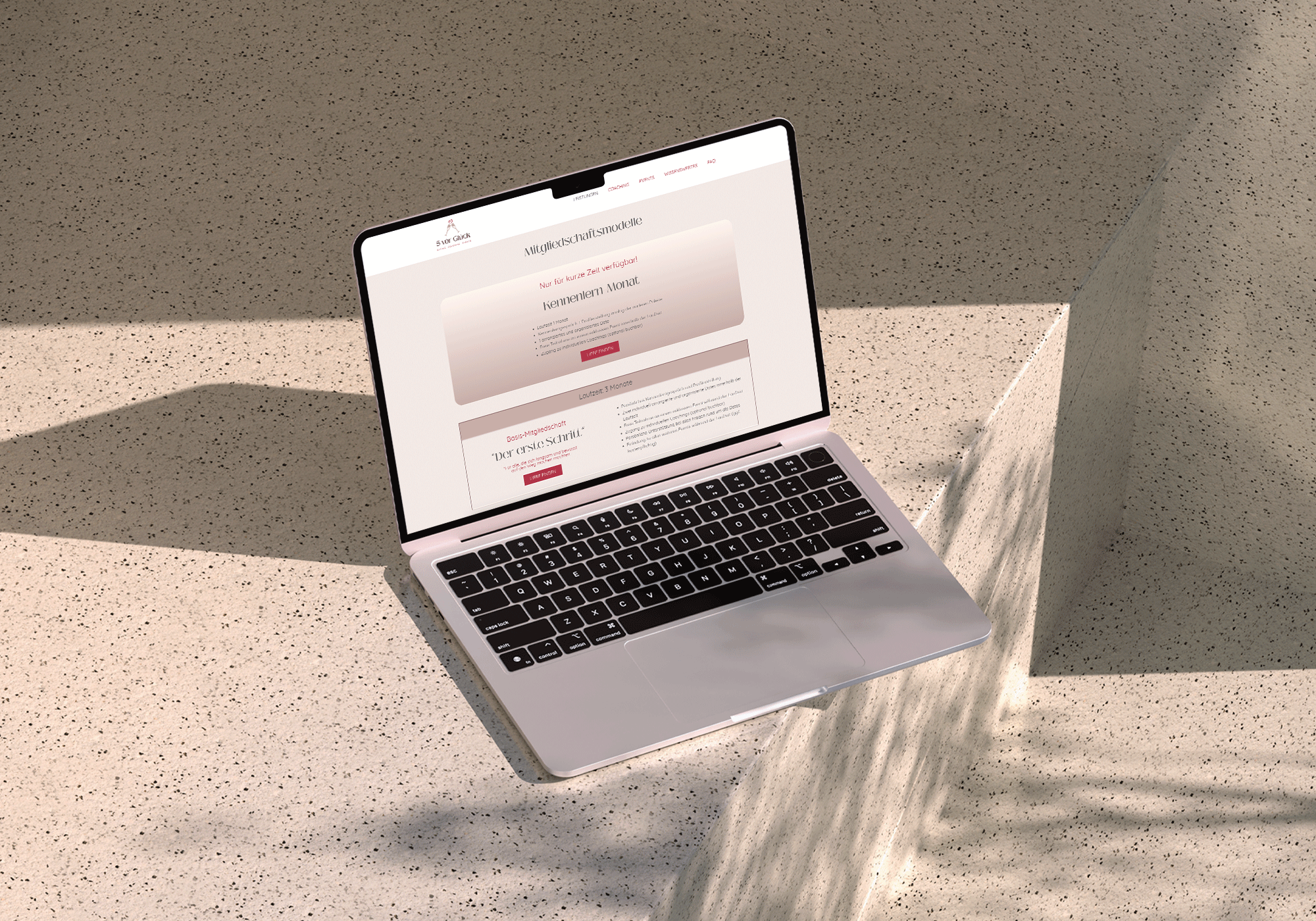 RamonaLengler_Mockup_3